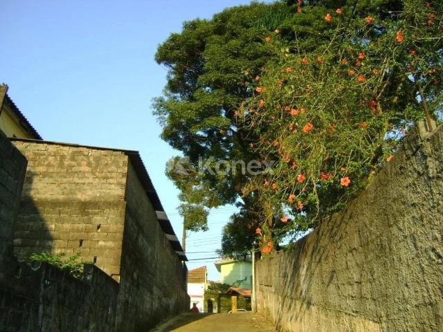 Terreno / Lote para Venda em São Paulo/SP Jardim Celeste