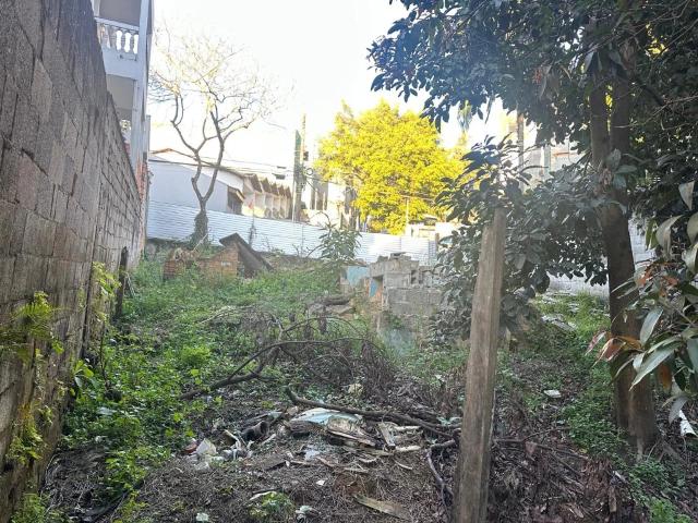 Terreno / Lote para Venda em São Paulo/SP Jardim Amália