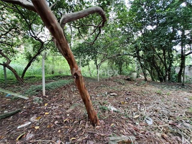 Terreno / Lote para Venda em São Paulo/SP Jardim Ampliação