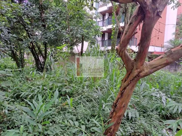 Terreno / Lote para Venda em São Paulo/SP Jardim Ampliação