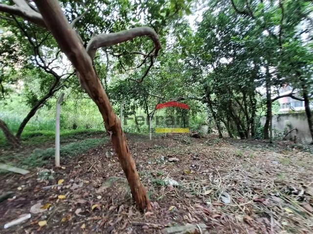 Terreno / Lote para Venda em São Paulo/SP Jardim Ampliação