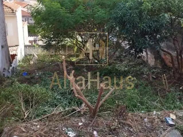 Terreno / Lote para Venda em São Paulo/SP Jardim Anália Franco