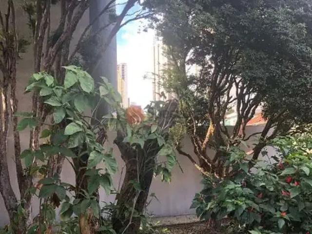 Terreno / Lote para Venda em São Paulo/SP Jardim Anália Franco