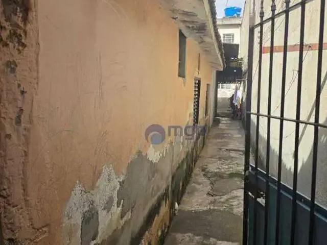 Terreno / Lote para Venda em São Paulo/SP Jardim Andaraí