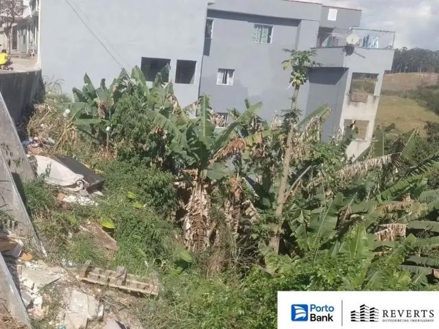 Terreno / Lote para Venda em São Paulo/SP Jardim Adelfiore