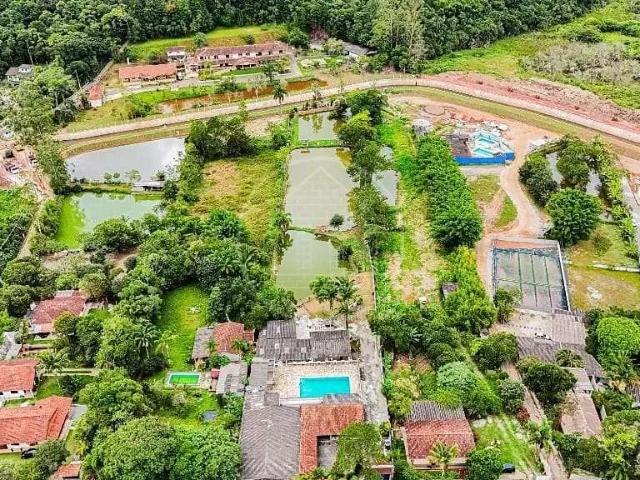 Terreno / Lote para Venda em São Paulo/SP Jardim Aladim