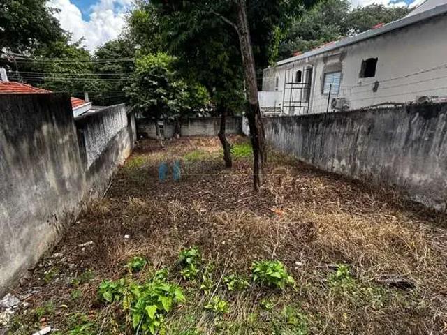 Terreno / Lote para Venda em São Paulo/SP Jardim Avelino