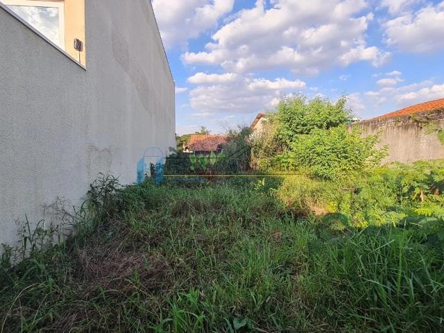 Terreno / Lote para Venda em São Paulo/SP Jardim Avelino