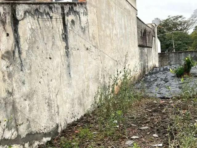 Terreno / Lote para Venda em São Paulo/SP Jardim Avelino