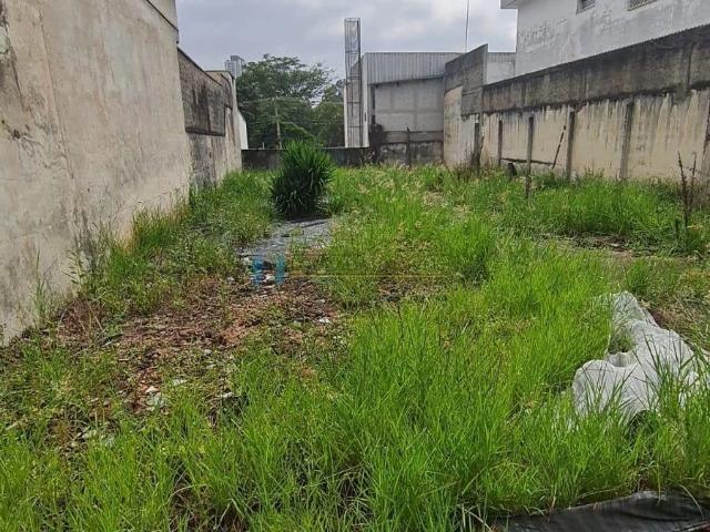 Terreno / Lote para Venda em São Paulo/SP Jardim Avelino