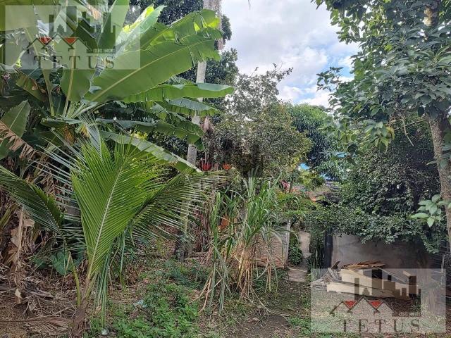 Terreno / Lote para Venda em São Paulo/SP Jardim Avenida