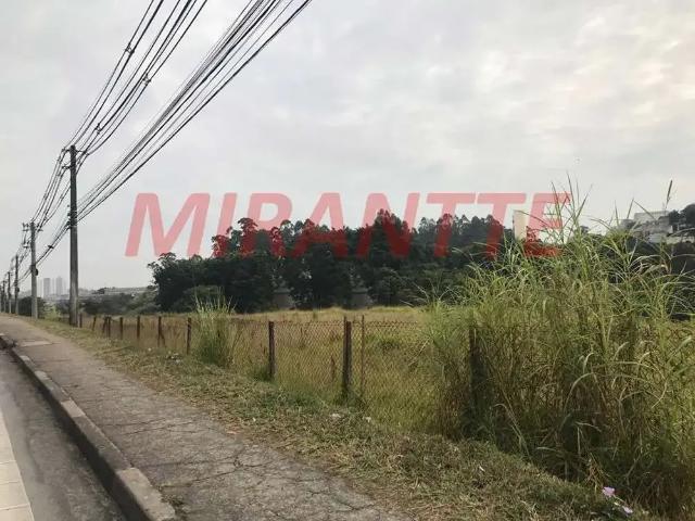 Terreno / Lote para Venda em São Paulo/SP Jardim Boa Vista