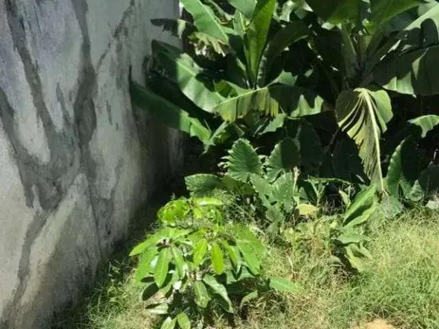 Terreno / Lote para Venda em São Paulo/SP Jardim Bonfiglioli