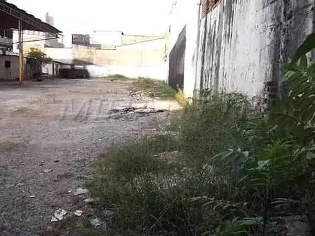 Terreno / Lote para Venda em São Paulo/SP Jardim Brasil