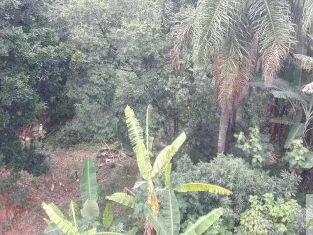 Terreno / Lote para Venda em São Paulo/SP Jardim Guaruja