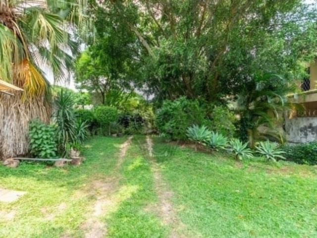Terreno / Lote para Venda em São Paulo/SP Jardim Guedala