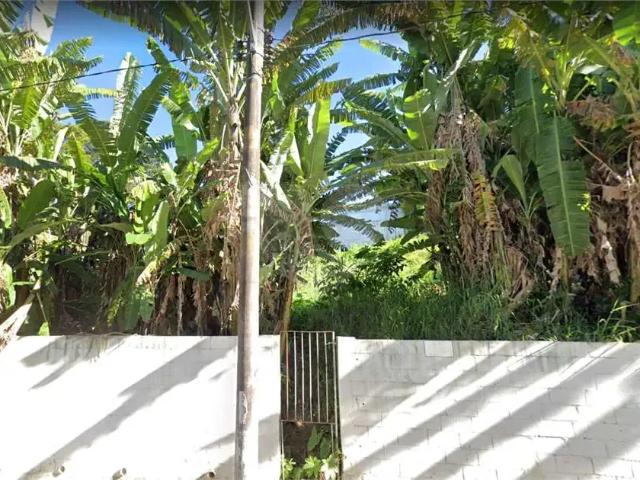 Terreno / Lote para Venda em São Paulo/SP Jardim Guedala