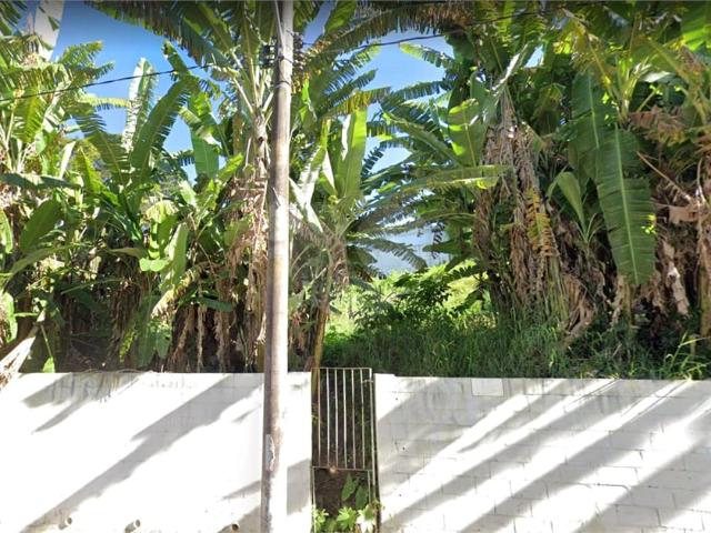 Terreno / Lote para Venda em São Paulo/SP Jardim Guedala