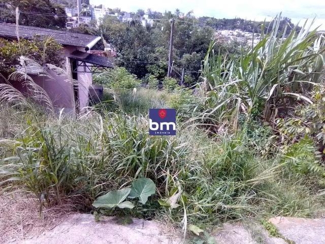 Terreno / Lote para Venda em São Paulo/SP Jardim do Colégio