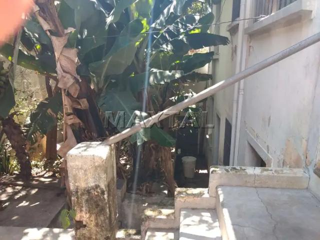 Terreno / Lote para Venda em São Paulo/SP Jardim do Colégio