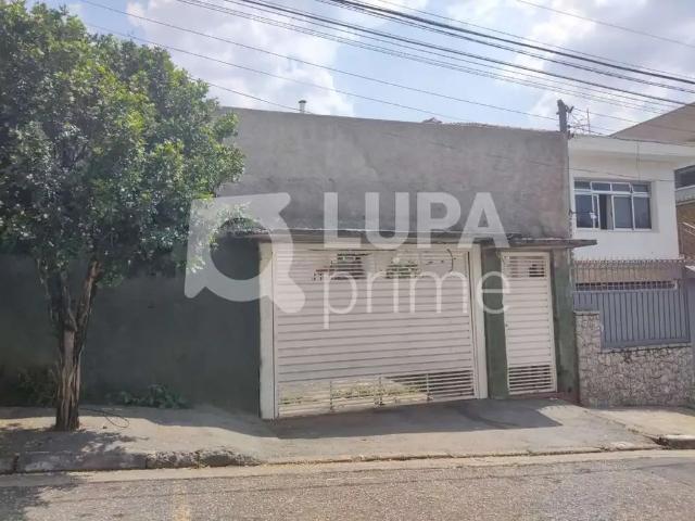 Terreno / Lote para Venda em São Paulo/SP Jardim do Colégio
