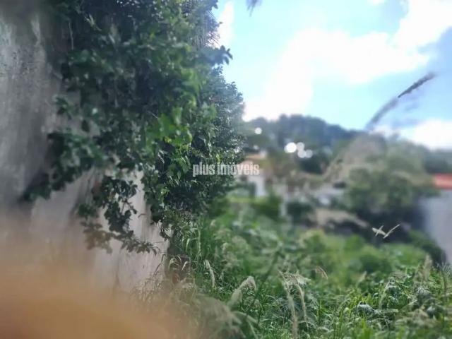 Terreno / Lote para Venda em São Paulo/SP Jardim dos Estados