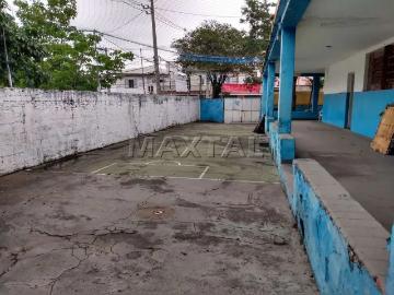 Terreno / Lote para Venda em São Paulo/SP Jardim da Glória