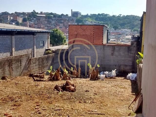 Terreno / Lote para Venda em São Paulo/SP Jardim das Flores