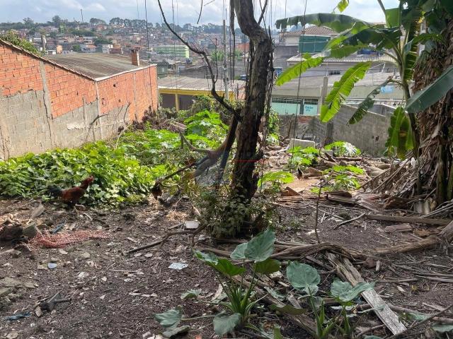 Terreno / Lote para Venda em São Paulo/SP Jardim das Imbuias