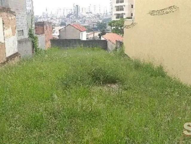 Terreno / Lote para Venda em São Paulo/SP Jardim das Laranjeiras