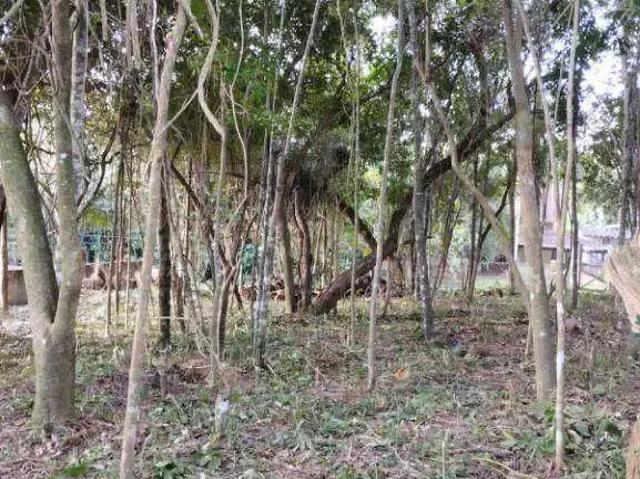 Terreno / Lote para Venda em São Paulo/SP Jardim das Palmeiras Zona Sul