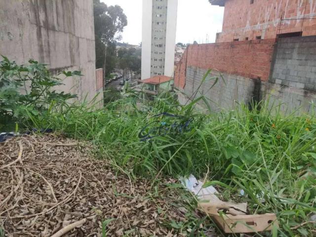 Terreno / Lote para Venda em São Paulo/SP Jardim Ester