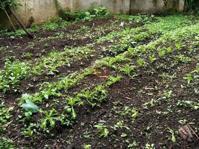 Terreno / Lote para Venda em São Paulo/SP Jardim Floresta 2 Quartos