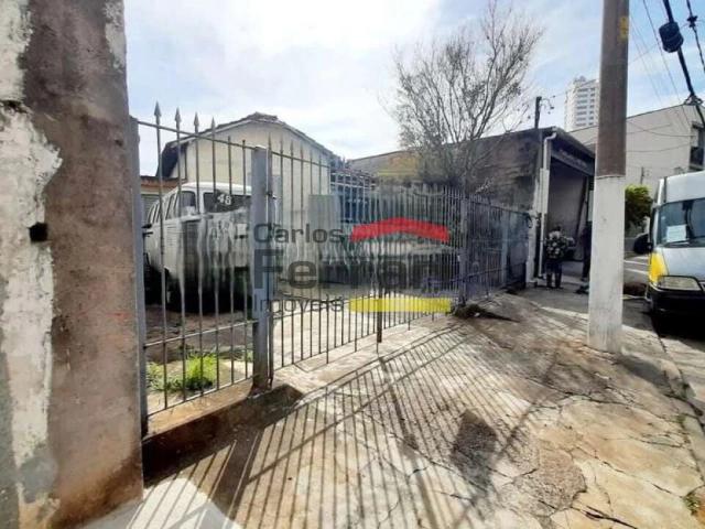 Terreno / Lote para Venda em São Paulo/SP Jardim Franca