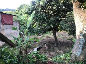 Terreno / Lote para Venda em São Paulo/SP Jardim Jussara