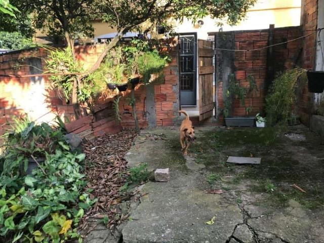 Terreno / Lote para Venda em São Paulo/SP Jardim Jussara