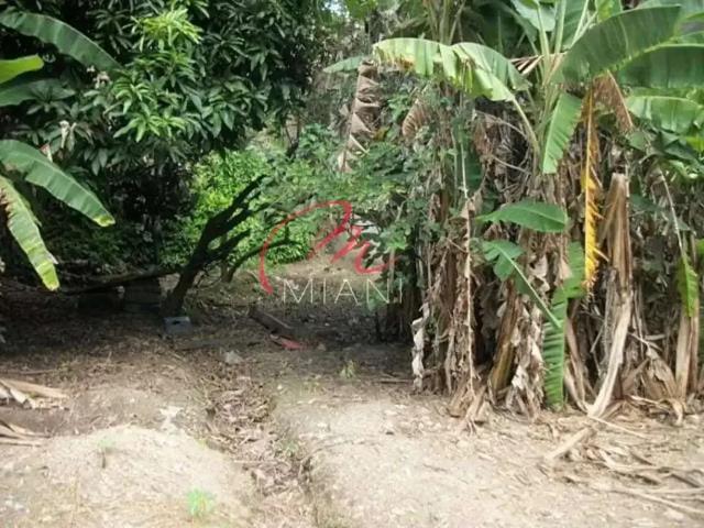 Terreno / Lote para Venda em São Paulo/SP Jardim Jussara