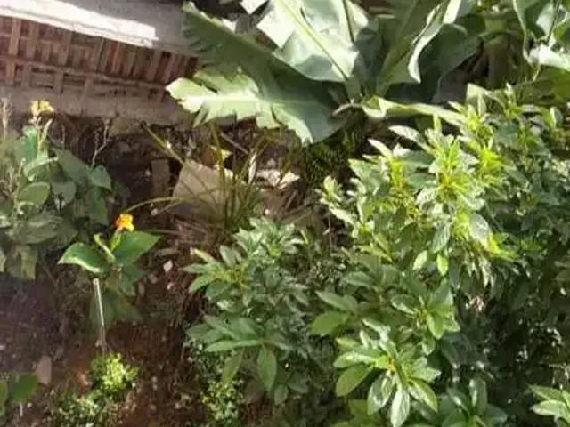 Terreno / Lote para Venda em São Paulo/SP Jardim Laura