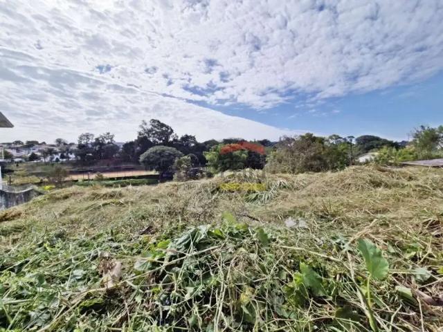 Terreno / Lote para Venda em São Paulo/SP Jardim Leonor Mendes de Barros