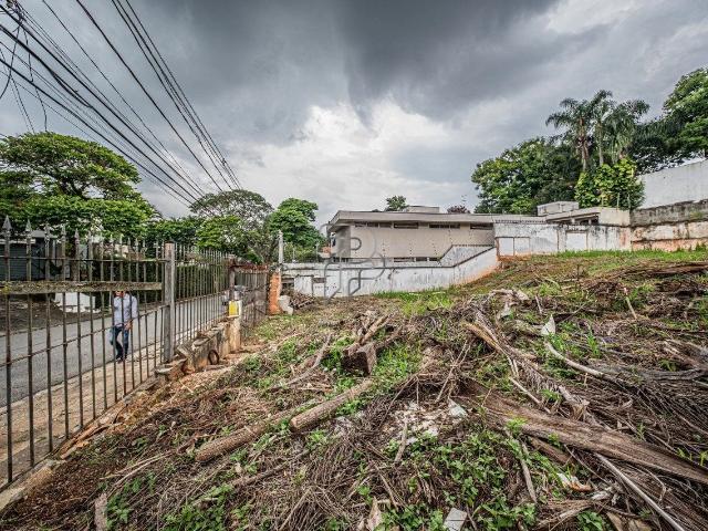 Terreno / Lote para Venda em São Paulo/SP Jardim Leonor