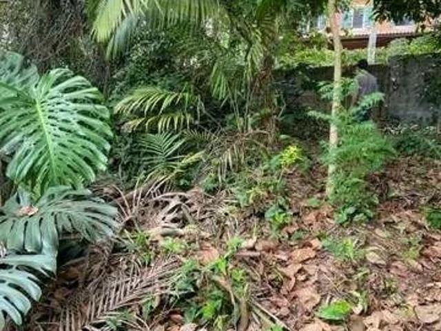 Terreno / Lote para Venda em São Paulo/SP Jardim Leonor