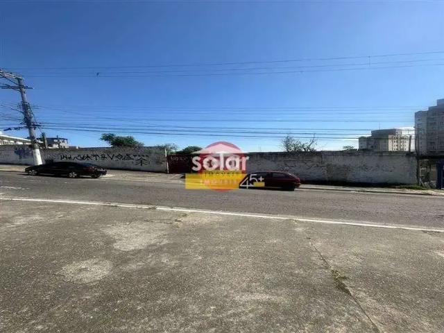 Terreno / Lote para Venda em São Paulo/SP Jardim Matarazzo