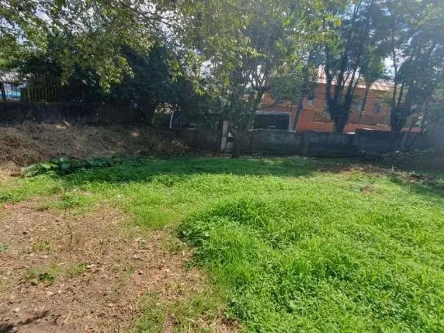 Terreno / Lote para Venda em São Paulo/SP Jardim Matarazzo