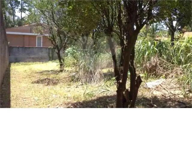 Terreno / Lote para Venda em São Paulo/SP Jardim Marajoara