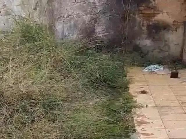 Terreno / Lote para Venda em São Paulo/SP Jardim Maringa