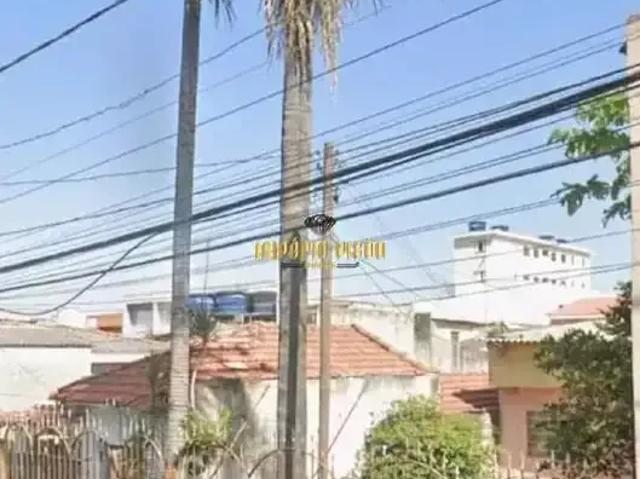 Terreno / Lote para Venda em São Paulo/SP Jardim Maringa