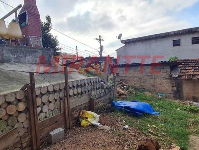Terreno / Lote para Venda em São Paulo/SP Jardim Maristela
