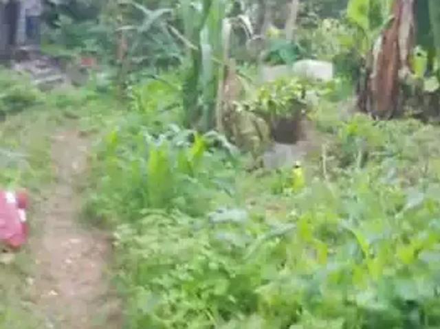Terreno / Lote para Venda em São Paulo/SP Jardim Mitsutani
