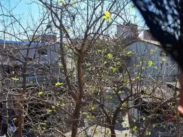 Terreno / Lote para Venda em São Paulo/SP Jardim Mitsutani