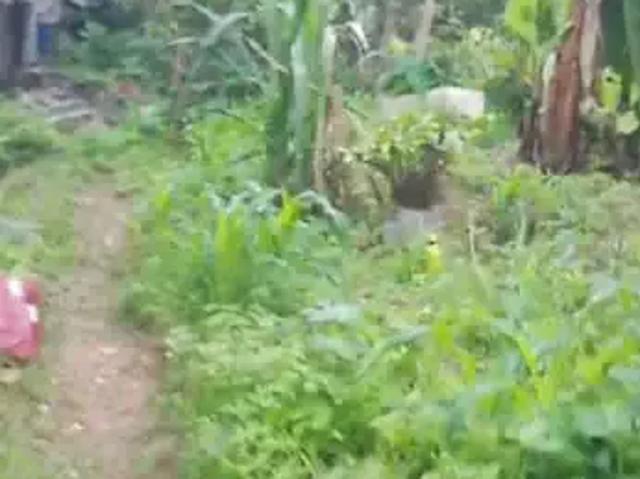 Terreno / Lote para Venda em São Paulo/SP Jardim Mitsutani